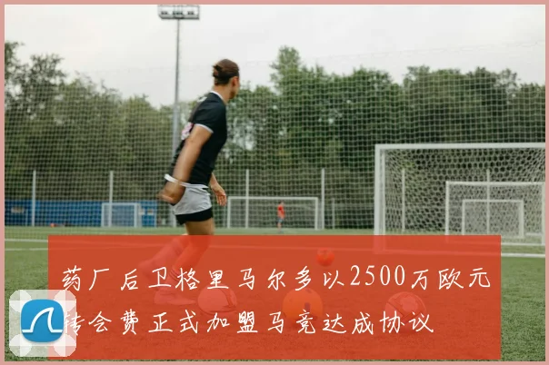药厂后卫格里马尔多以2500万欧元转会费正式加盟马竞达成协议